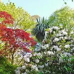 Kilmokea Country Manor & Gardens Hotel New Ross