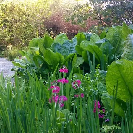 Kilmokea Country Manor & Gardens 3*