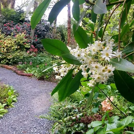 Kilmokea Country Manor & Gardens 3*