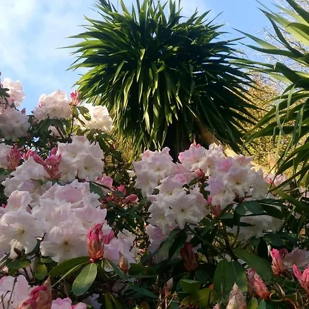 Kilmokea Country Manor & Gardens