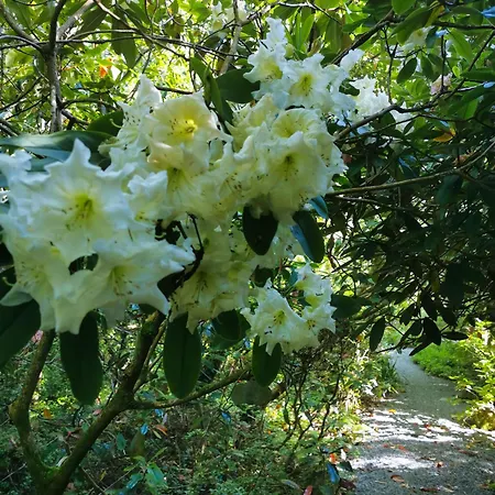 Kilmokea Country Manor & Gardens 3* New Ross