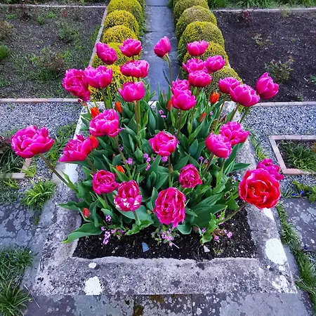 Hotel Kilmokea Country Manor & Gardens New Ross