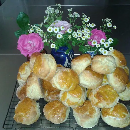 Kilmokea Country Manor & Gardens 3*