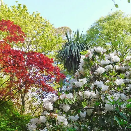 Kilmokea Country Manor & Gardens Hotel New Ross