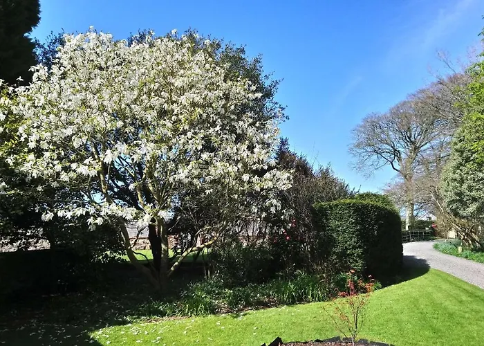 מלון Kilmokea Country Manor & Gardens