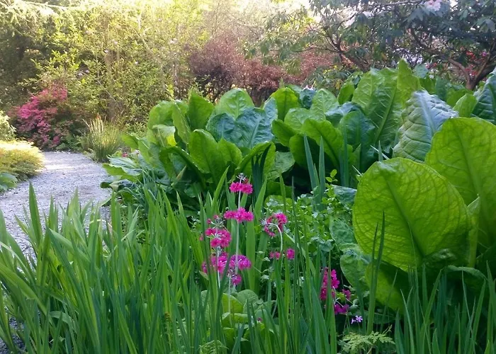 Kilmokea Country Manor & Gardens 3*