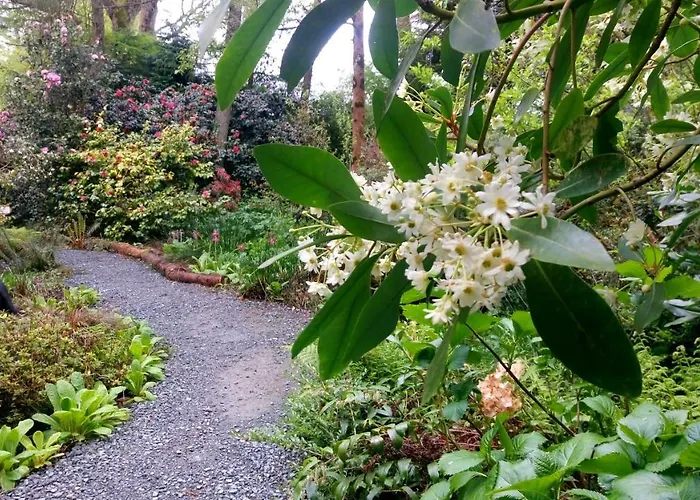 Kilmokea Country Manor & Gardens 3*