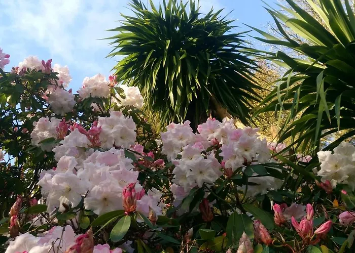 Kilmokea Country Manor & Gardens