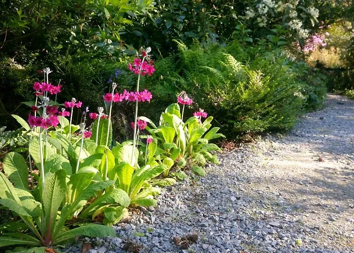 Kilmokea Country Manor & Gardens מלון 3*