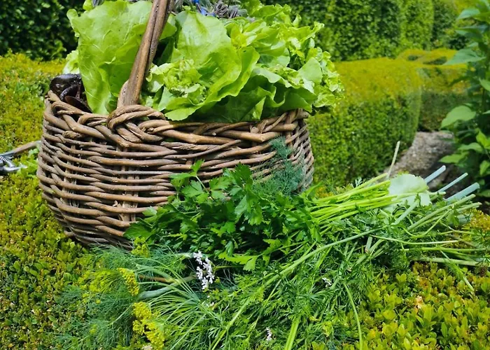 מלון Kilmokea Country Manor & Gardens ניו רוס