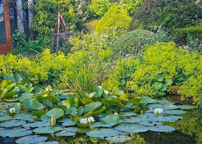 Kilmokea Country Manor & Gardens 3*