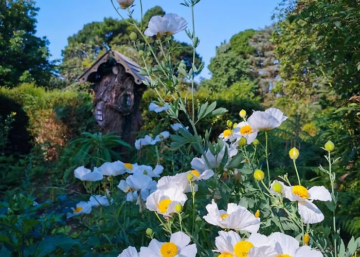 Kilmokea Country Manor & Gardens מלון 3*