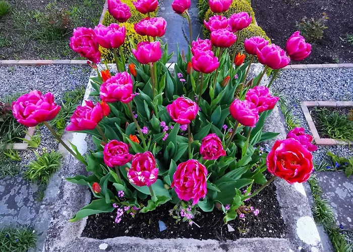 מלון Kilmokea Country Manor & Gardens ניו רוס